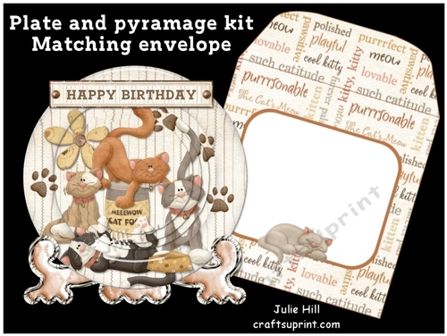 Mewow plate card kit and matching envelope