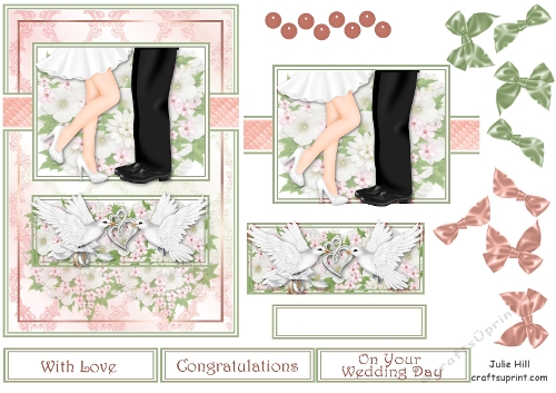 Mr & Mrs doves wedding day quick card