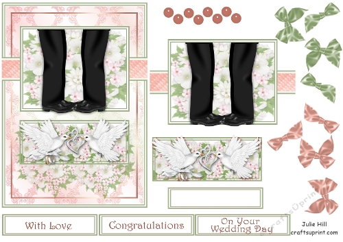 Mr & Mr doves wedding day quick card