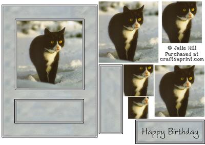 Pyramid Black and White Kitten Card