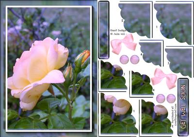 Pink Rose Corner Scallop Pyramid Sheet