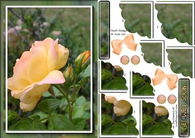 Peach Rose Corner Scallop Pyramid Sheet
