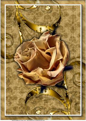 Vintage Rose A4 Card Front