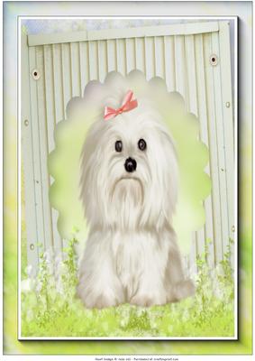 A4 Garden Terrier Card Front