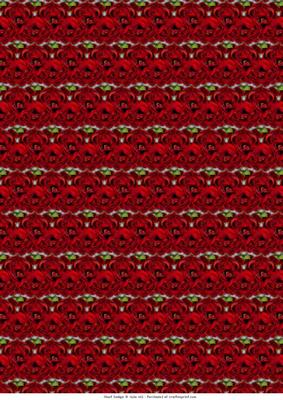 Full of Roses Backing Paper