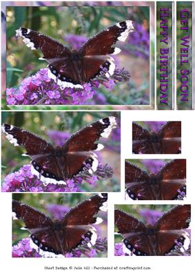 Lilac and Butterfly Pyramid Card Sheet
