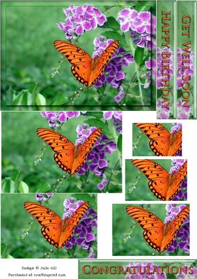 Orange Butterfly Pyramid Card Sheet