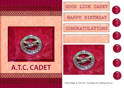 Atc Female Cadet Quick Card
