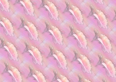 Peach and Pink Rose Horizontal Backing Paper Sheet