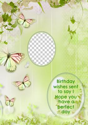 Butterfly Greeting Card