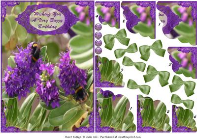 Wishing You a Buzzy Birthday Pyramid Decoupage