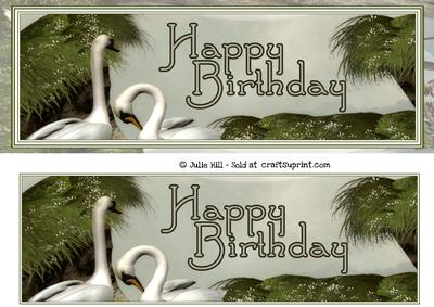 Two Swans Happy Birthday Dl Card