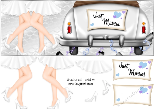 DL just married couple Mrs and Mrs wedding card