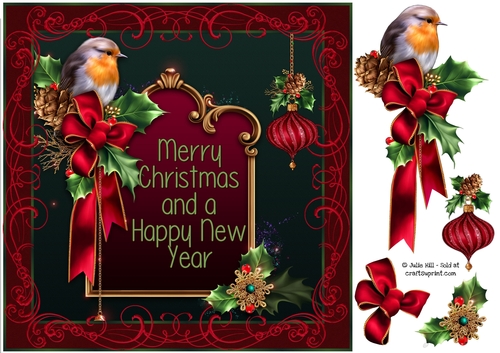 Christmas robin ornament card front 8x8