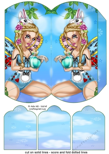 Alice in wonderland pillowbox gift bag