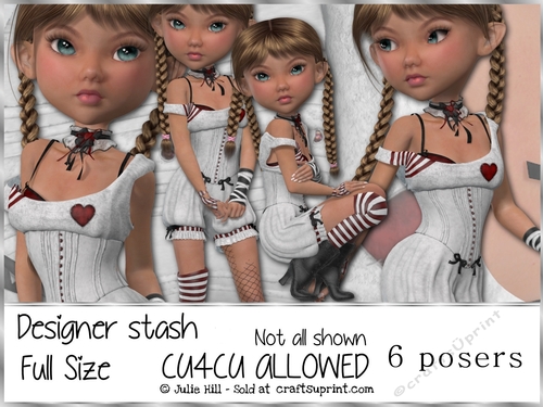 Designer stash 11 CU