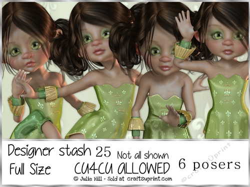 Designer stash 25 CU
