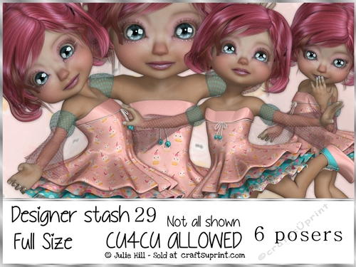 Designer stash 29 CU