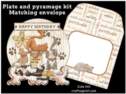 Mewow plate card kit and matching envelope