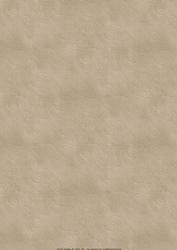 Steam Punk Vintage Background
