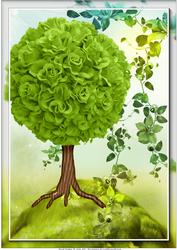 A4 Spring Hill Card Front