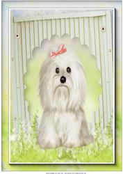 A4 Garden Terrier Card Front