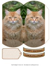 Long Haired Ginger Cat Pillow Box.