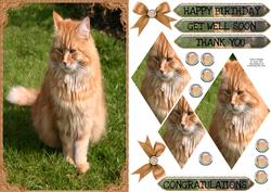 Long Haired Ginger Cat Diamond Stacker Card Sheet