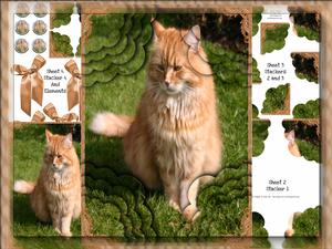 A4 Long Haired Ginger Cat 4 Corner Scallop Stacker Card Kit