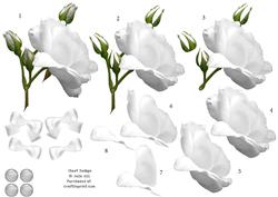 White Rose 3D Decoupage Sheet