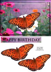 Orange Butterfly Quick Card Front