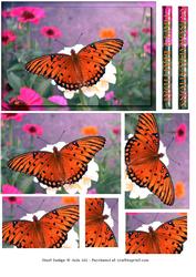 Orange Butterfly Pyramid Card Sheet