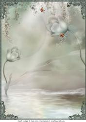 A4 Tulips and Butterfly Scenic Card Front