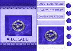 Atc Male Quick Card