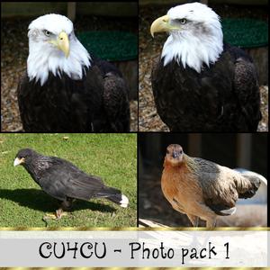 Cu4cu Photo Pack 1