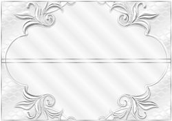 DL just married couple and wedding car insert