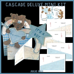 Its a boy teddy bear cascade deluxe mini kit