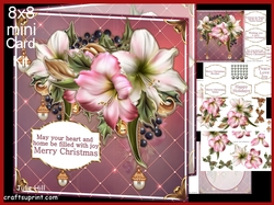 Festive amaryllis 8x8 mini kit