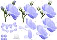 Pale Blue Rose 3D Decoupage Sheet