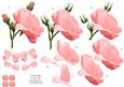 Salmon Pink Rose 3D Decoupage Sheet