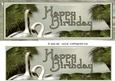 Two Swans Happy Birthday Dl Card