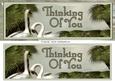 Two Swans Thinking of You Dl Card