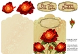 Red roses scallop top card
