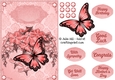 Forget me not salmon pink butterfly lace quick card