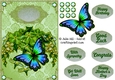 Forget me not green butterfly lace quick card