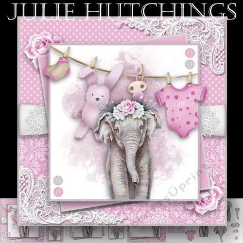 Baby Girl Elephant 