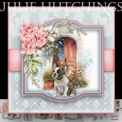 My home The French Bulldog