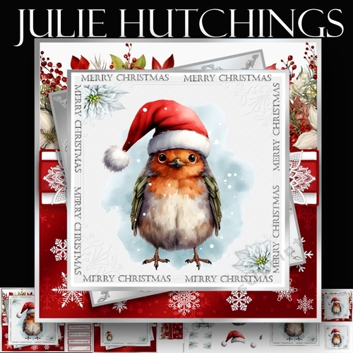 The Little Christmas Robin