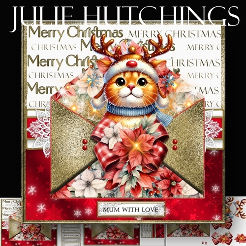 Kitten Christmas Surprise