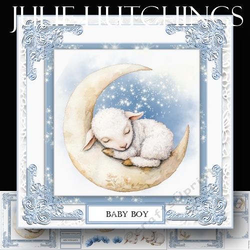 Baby lamb Boy